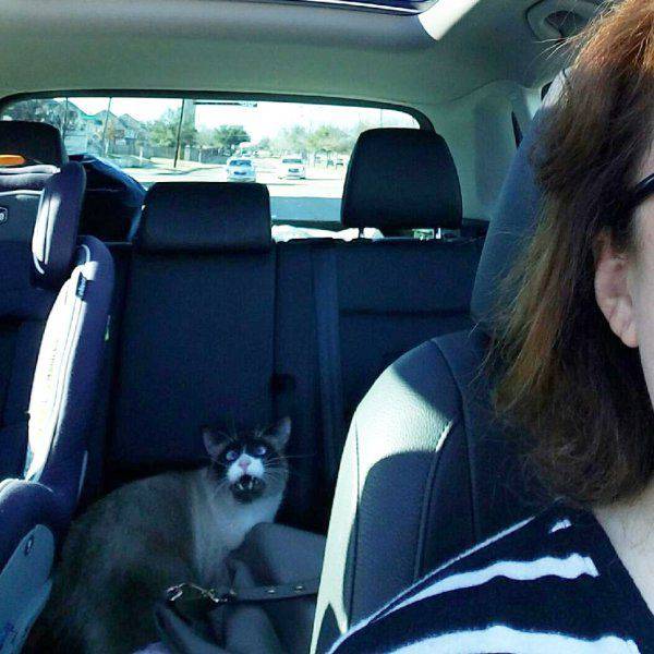 daily picdump 101 pics 34.html - 101 HD Photos | Premium Gallery 2017