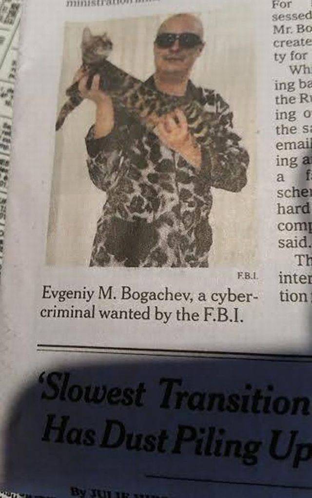 daily picdump 101 pics 34.html - 101 HD Photos | Premium Gallery 2017