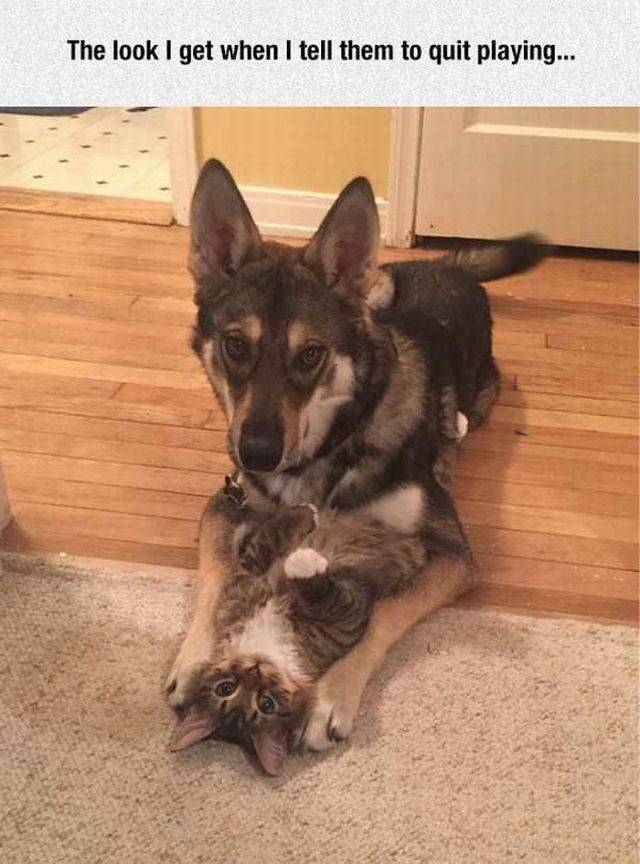 daily picdump 101 pics 34.html - 101 HD Photos | Premium Gallery 2017