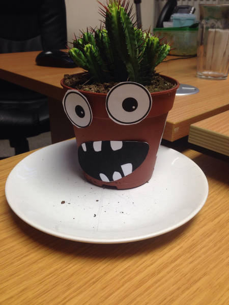 morning picdump 54 pics 12.html - 54 HD Photos | Premium Gallery 2017