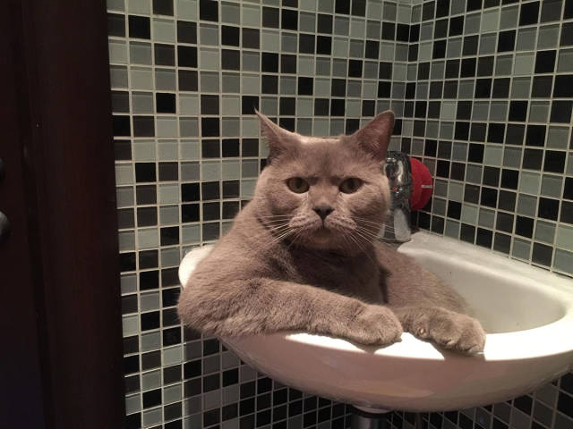 morning picdump 54 pics 12.html - 54 HD Photos | Premium Gallery 2017