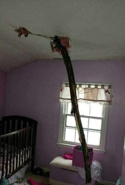 morning picdump 54 pics 12.html - 54 HD Photos | Premium Gallery 2017