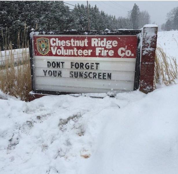 morning picdump 54 pics 12.html - 54 HD Photos | Premium Gallery 2017