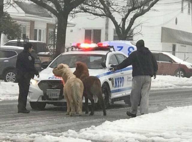 morning picdump 54 pics 12.html - 54 HD Photos | Premium Gallery 2017