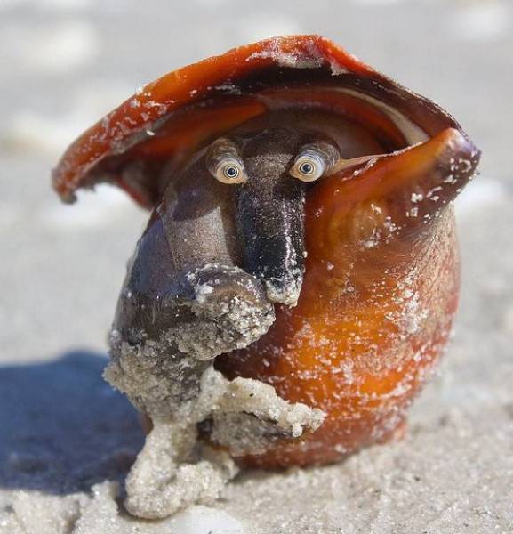 morning picdump 54 pics 12.html - 54 HD Photos | Premium Gallery 2017