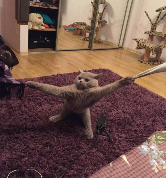 daily picdump 101 pics 14.html - 101 HD Photos | Premium Gallery 2017