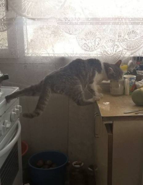 daily picdump 101 pics 14.html - 101 HD Photos | Premium Gallery 2017