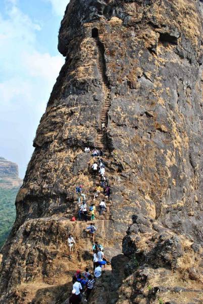 daily picdump 101 pics 14.html - 101 HD Photos | Premium Gallery 2017