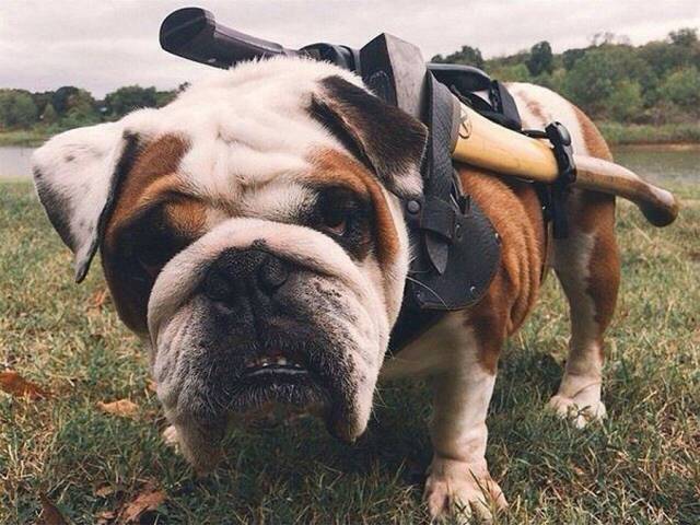 daily picdump 101 pics 14.html - 101 HD Photos | Premium Gallery 2017