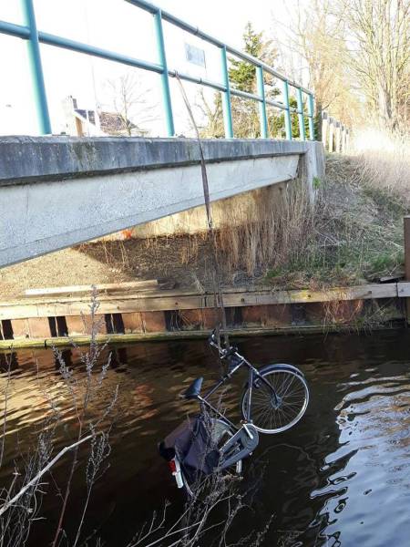 daily picdump 101 pics 14.html - 101 HD Photos | Premium Gallery 2017