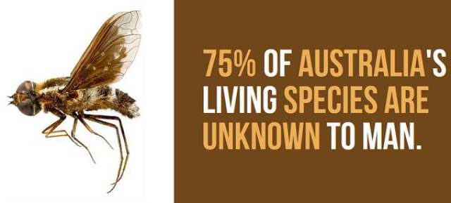 daily picdump 101 pics 14.html - 101 HD Photos | Premium Gallery 2017