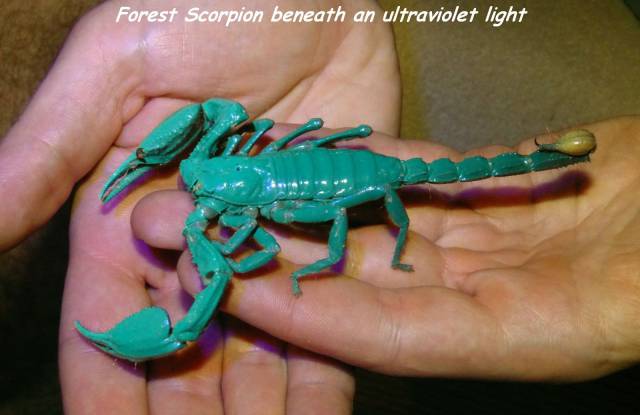 daily picdump 101 pics 14.html - 101 HD Photos | Premium Gallery 2017