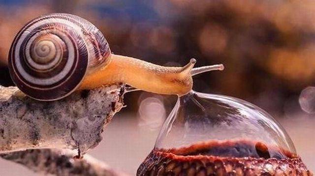 daily picdump 101 pics 14.html - 101 HD Photos | Premium Gallery 2017