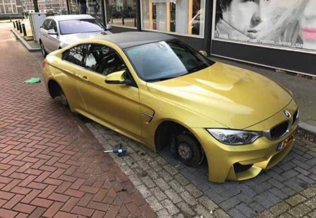 daily picdump 101 pics 14.html - 101 HD Photos | Premium Gallery 2017