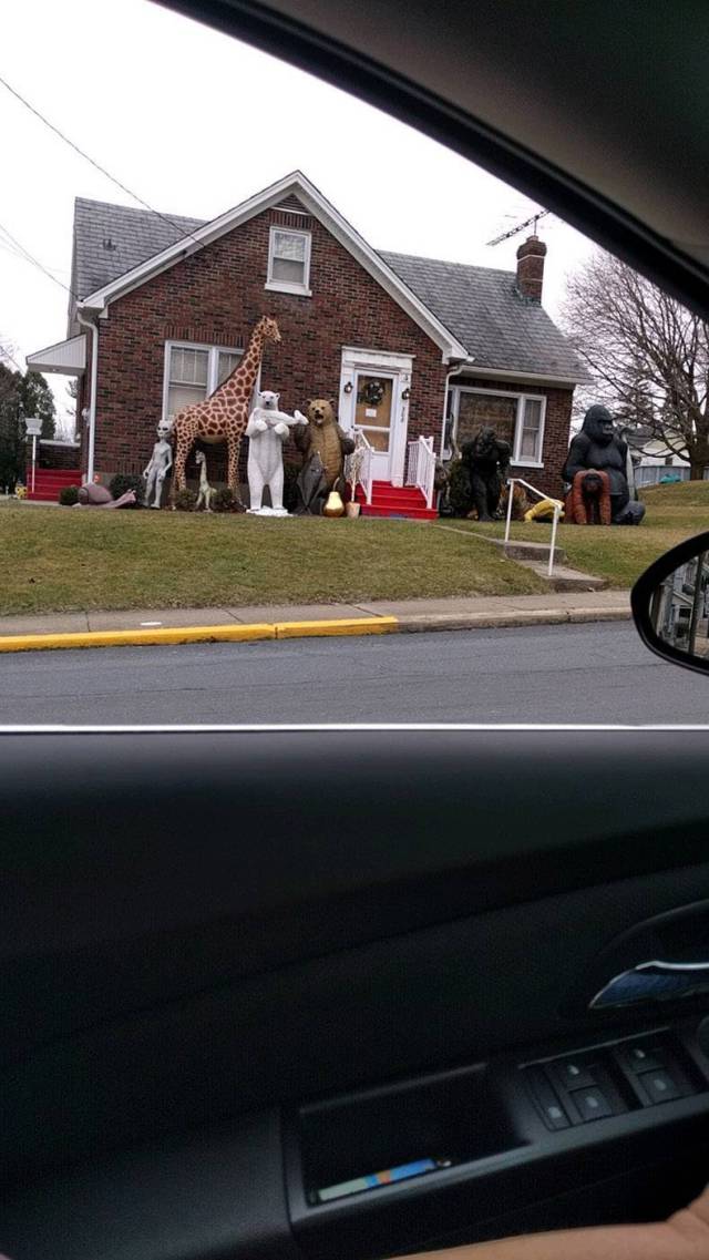 daily picdump 101 pics 14.html - 101 HD Photos | Premium Gallery 2017