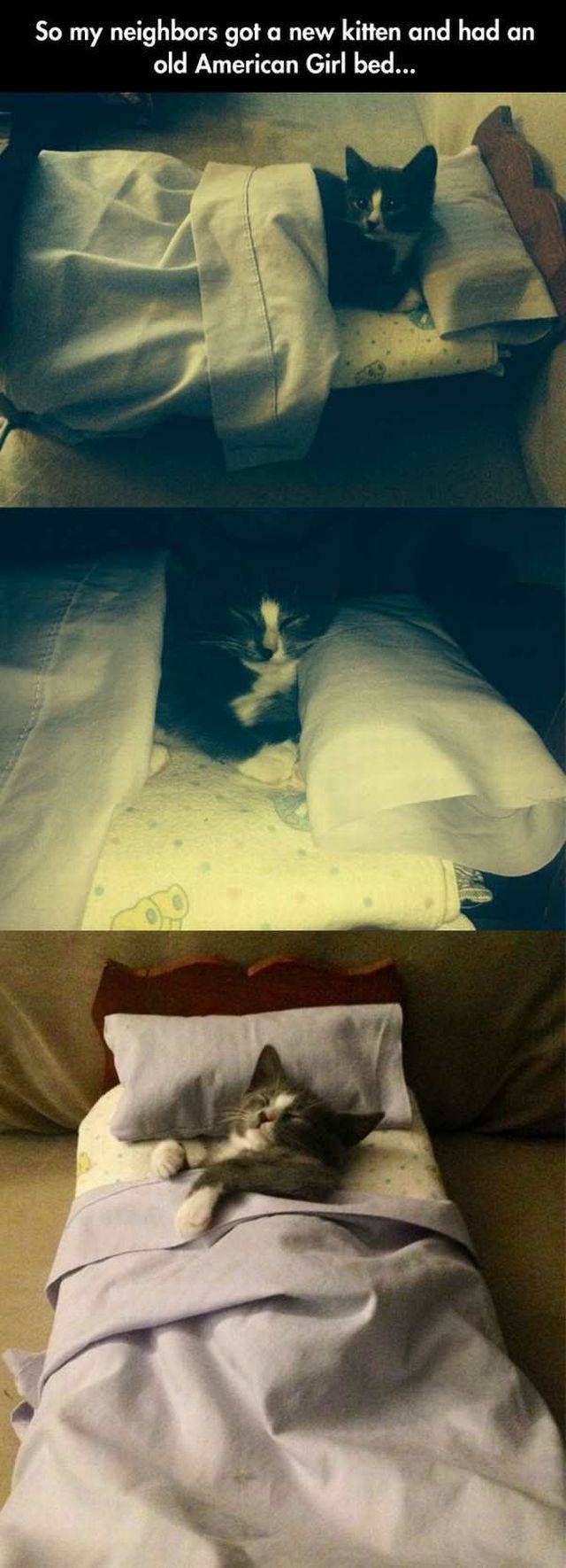 daily picdump 101 pics 14.html - 101 HD Photos | Premium Gallery 2017