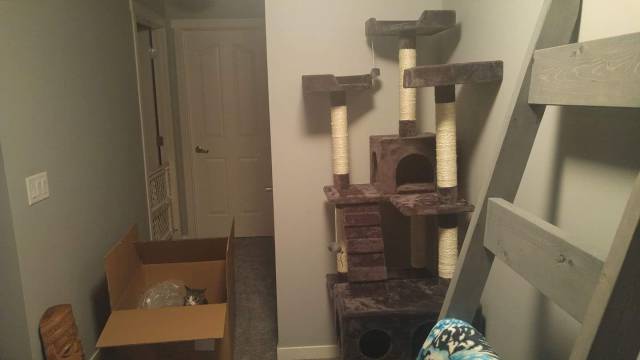 morning picdump 52 pics 5.html - 52 HD Photos | Premium Gallery 2017