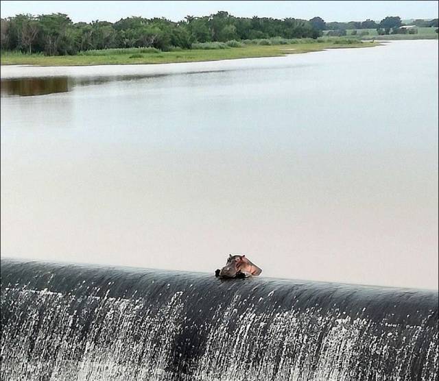 daily picdump 103 pics 2.html - 103 HD Photos | Premium Gallery 2017