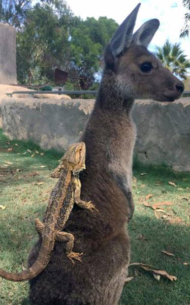 daily picdump 103 pics 2.html - 103 HD Photos | Premium Gallery 2017