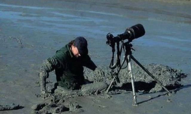 daily picdump 103 pics 2.html - 103 HD Photos | Premium Gallery 2017