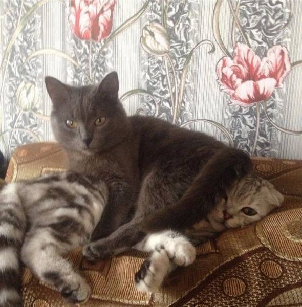 daily picdump 103 pics 2.html - 103 HD Photos | Premium Gallery 2017