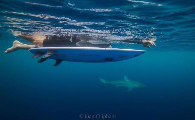 daily picdump 103 pics 2.html - 103 HD Photos | Premium Gallery 2017