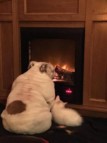 morning picdump 50 pics 4.html - 50 HD Photos | Premium Gallery 2017