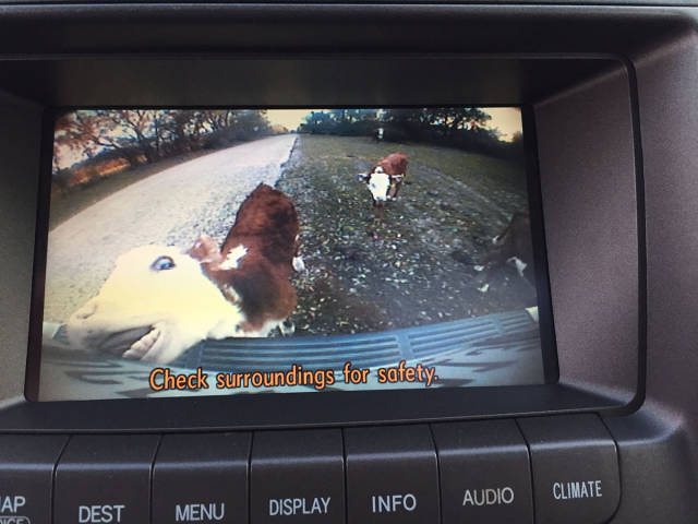 morning picdump 50 pics 4.html - 50 HD Photos | Premium Gallery 2017