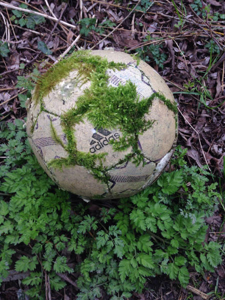 morning picdump 50 pics 4.html - 50 HD Photos | Premium Gallery 2017