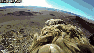 Big Men Need Big Toys!