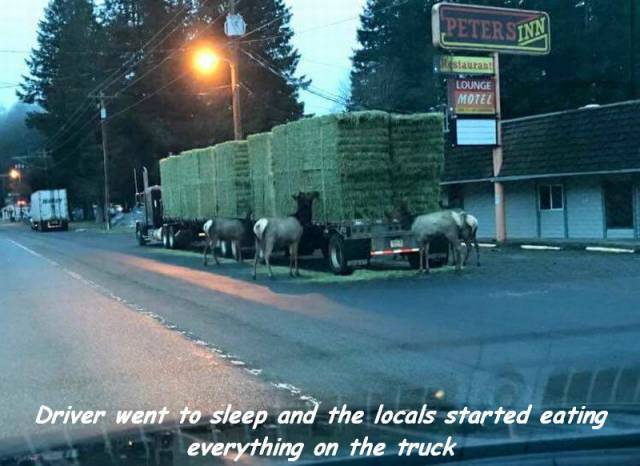 Daily Picdump [WEEKEND EDITION]