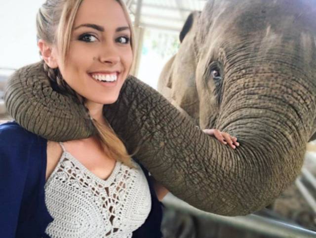 daily picdump weekend edition 75 pics 19.html - 75 HD Photos | Premium Gallery 2017