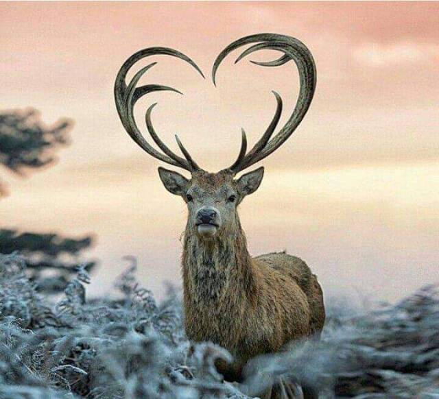 daily picdump weekend edition 75 pics 19.html - 75 HD Photos | Premium Gallery 2017