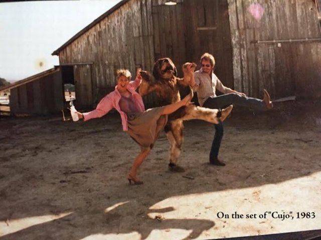 daily picdump weekend edition 75 pics 19.html - 75 HD Photos | Premium Gallery 2017