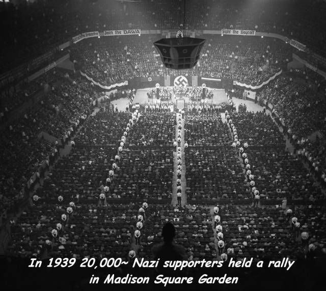 daily picdump weekend edition 75 pics 19.html - 75 HD Photos | Premium Gallery 2017