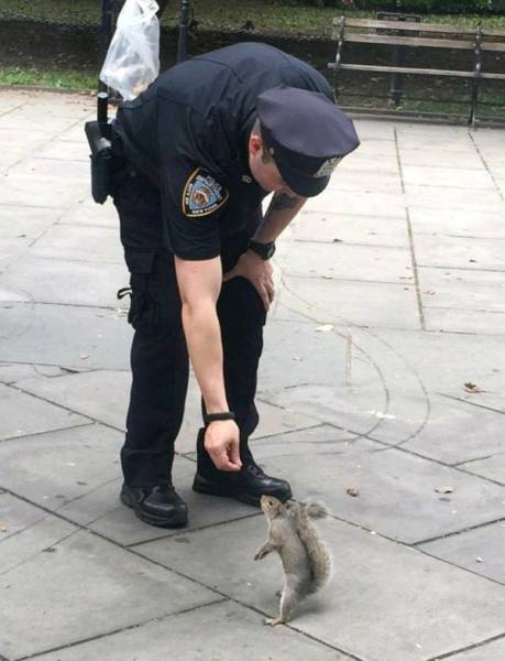 daily picdump weekend edition 75 pics 19.html - 75 HD Photos | Premium Gallery 2017