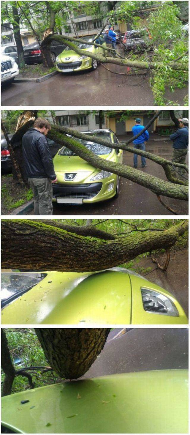 daily picdump weekend edition 75 pics 19.html - 75 HD Photos | Premium Gallery 2017