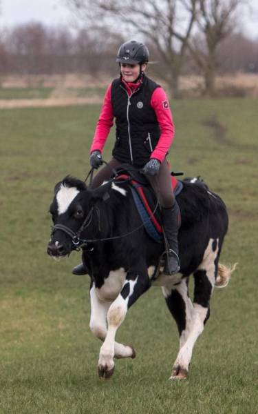 daily picdump 102 pics 35.html - 102 HD Photos | Premium Gallery 2017