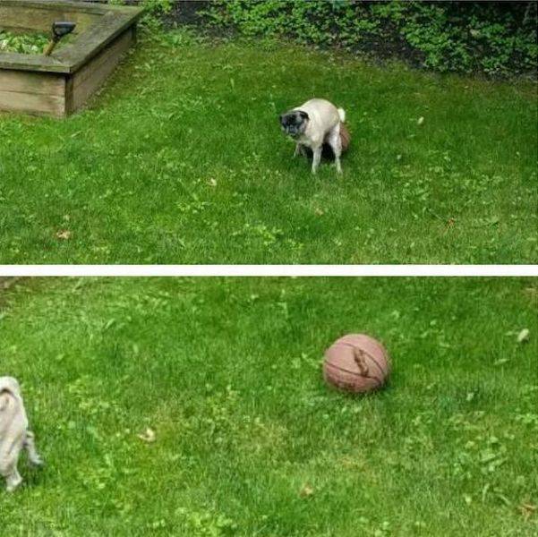 daily picdump 102 pics 35.html - 102 HD Photos | Premium Gallery 2017