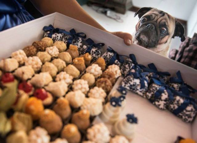 daily picdump 102 pics 35.html - 102 HD Photos | Premium Gallery 2017