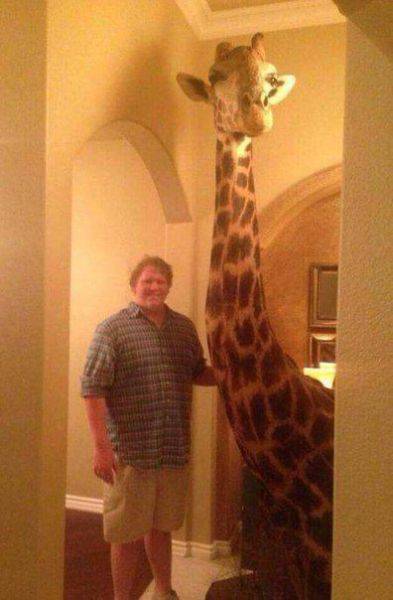 daily picdump 102 pics 35.html - 102 HD Photos | Premium Gallery 2017