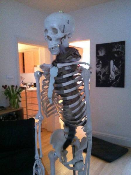 daily picdump 102 pics 35.html - 102 HD Photos | Premium Gallery 2017