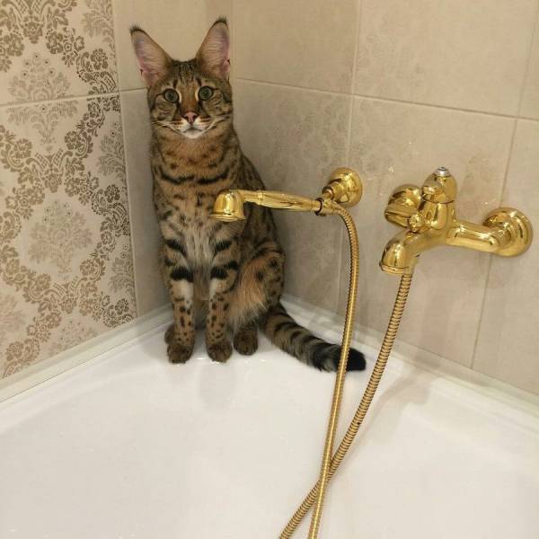 daily picdump 102 pics 35.html - 102 HD Photos | Premium Gallery 2017