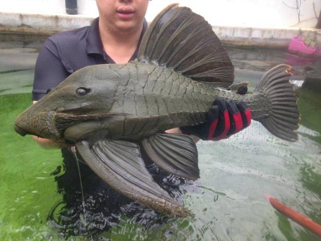 daily picdump 102 pics 35.html - 102 HD Photos | Premium Gallery 2017