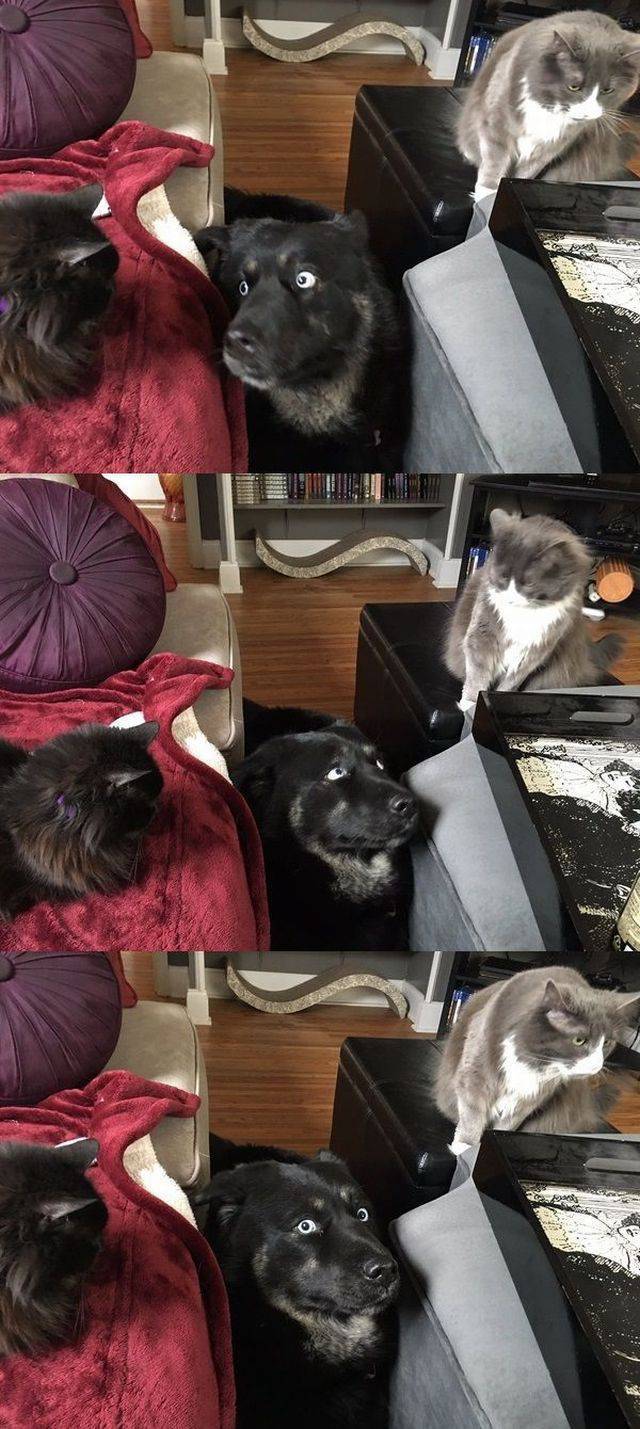 daily picdump 102 pics 35.html - 102 HD Photos | Premium Gallery 2017