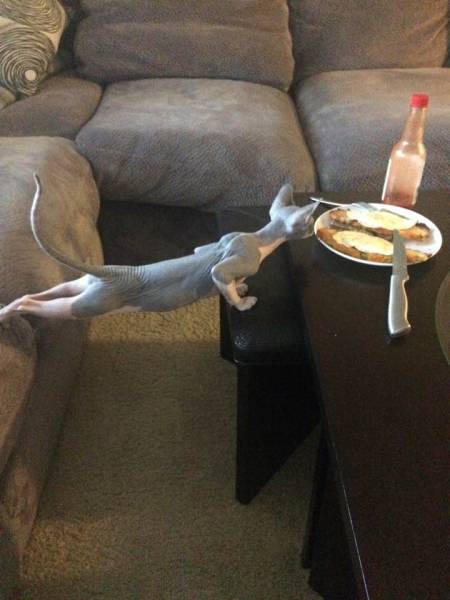 morning picdump 53 pics 6.html - 53 HD Photos | Premium Gallery 2017