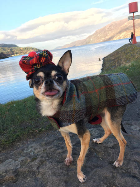 morning picdump 53 pics 6.html - 53 HD Photos | Premium Gallery 2017