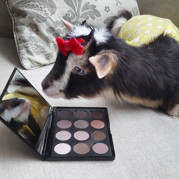 daily picdump 102 pics 3.html - 102 HD Photos | Premium Gallery 2017