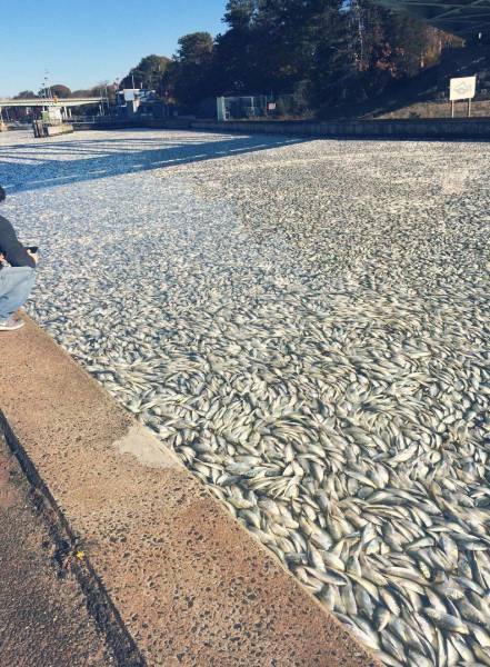 daily picdump 102 pics 3.html - 102 HD Photos | Premium Gallery 2017