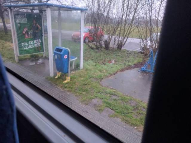 daily picdump 102 pics 3.html - 102 HD Photos | Premium Gallery 2017